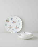 Porcelain Table Set 12 Pieces, 4 Servings Colored